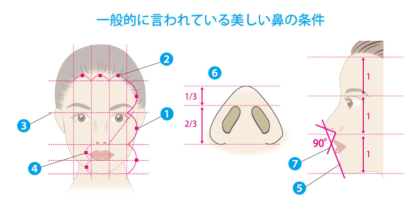 一般的に言われている理想的な鼻のバランス
